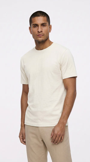 Adult Unisex Regular Fit T-Shirt